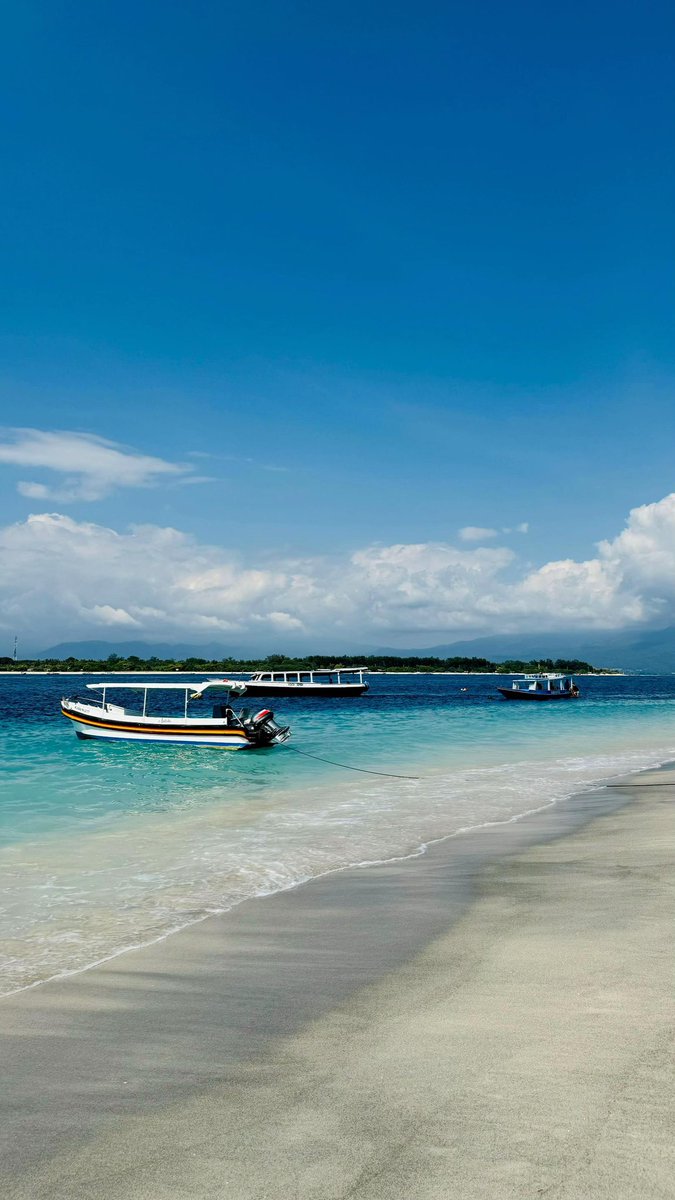 رحال tweet media