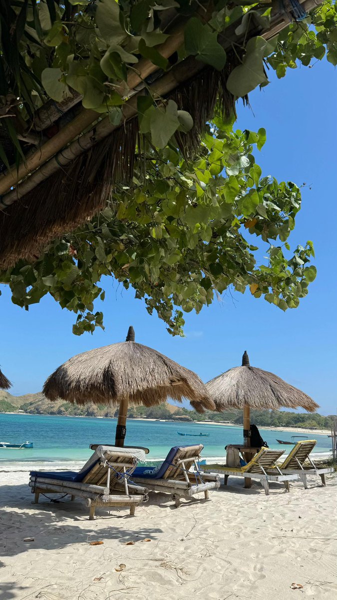 رحال tweet media