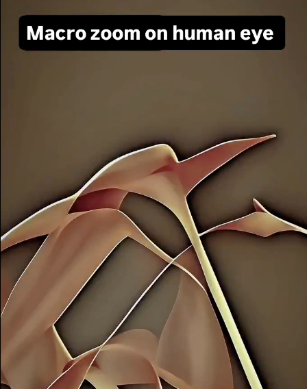 Max Decimal tweet media