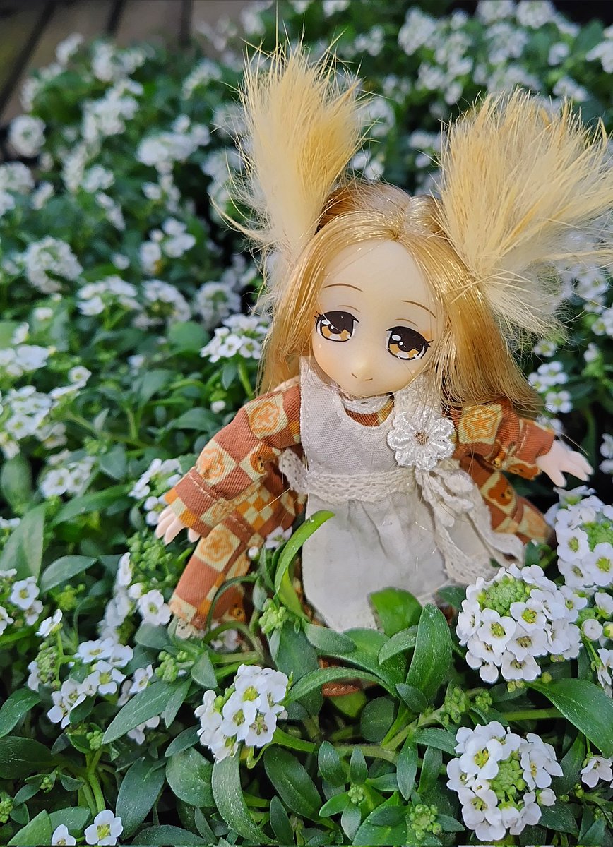 おはようございます(#^.^#)
もうお休みの人も多いかな？

ルミュ:きょ～も～がんがり～ましょ～