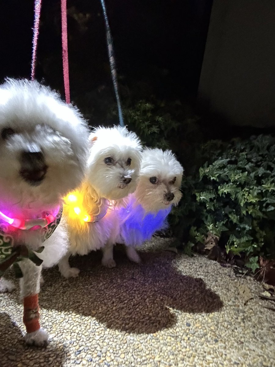 ハルくん (@9Z8lquSv8B3FMpN) / Posts / X