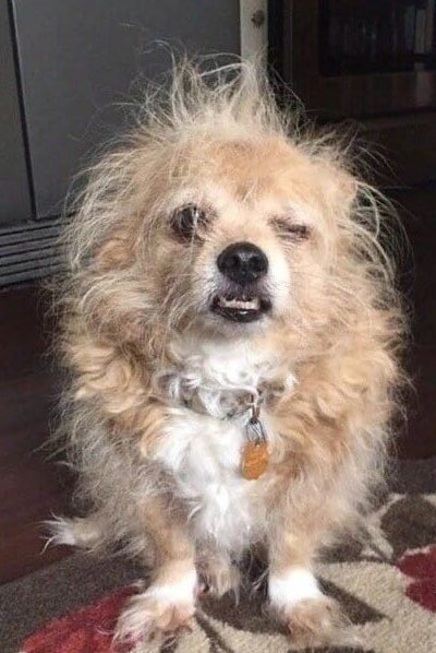 twitandrewking's tweet image. BACK HOME 

Christmas with family, hard water hair, too much alcohol, cheese and white knuckle driving with all the idiots on the road…

What did I miss?!  🫠