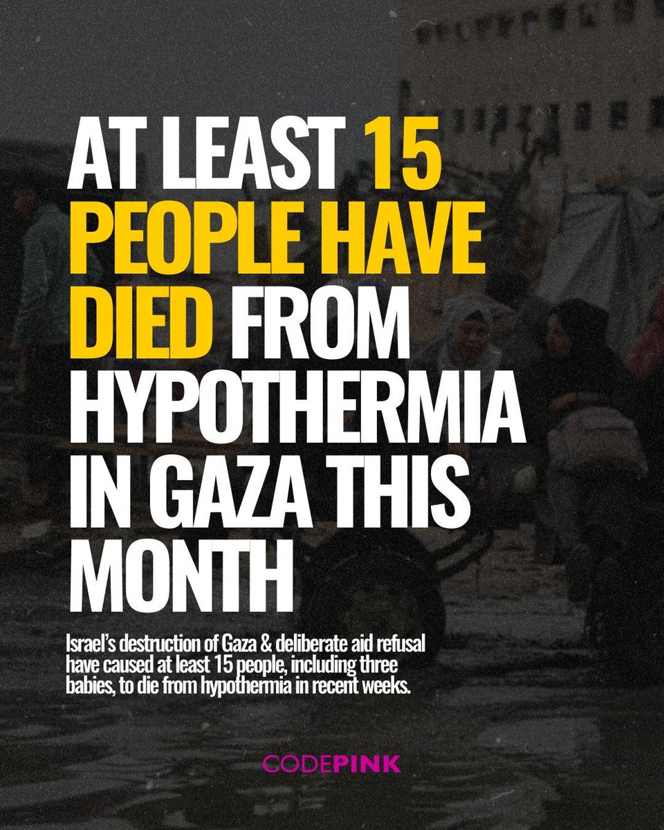 codepink's tweet image. 