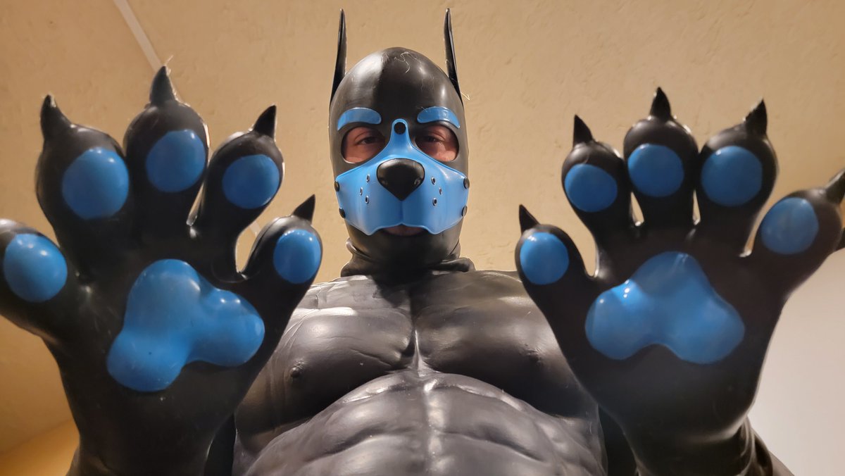 Some pawzies for you.