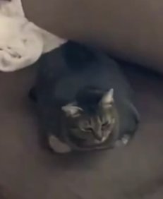 É que esse planeta aqui tá atraindo os outros com a gravidade