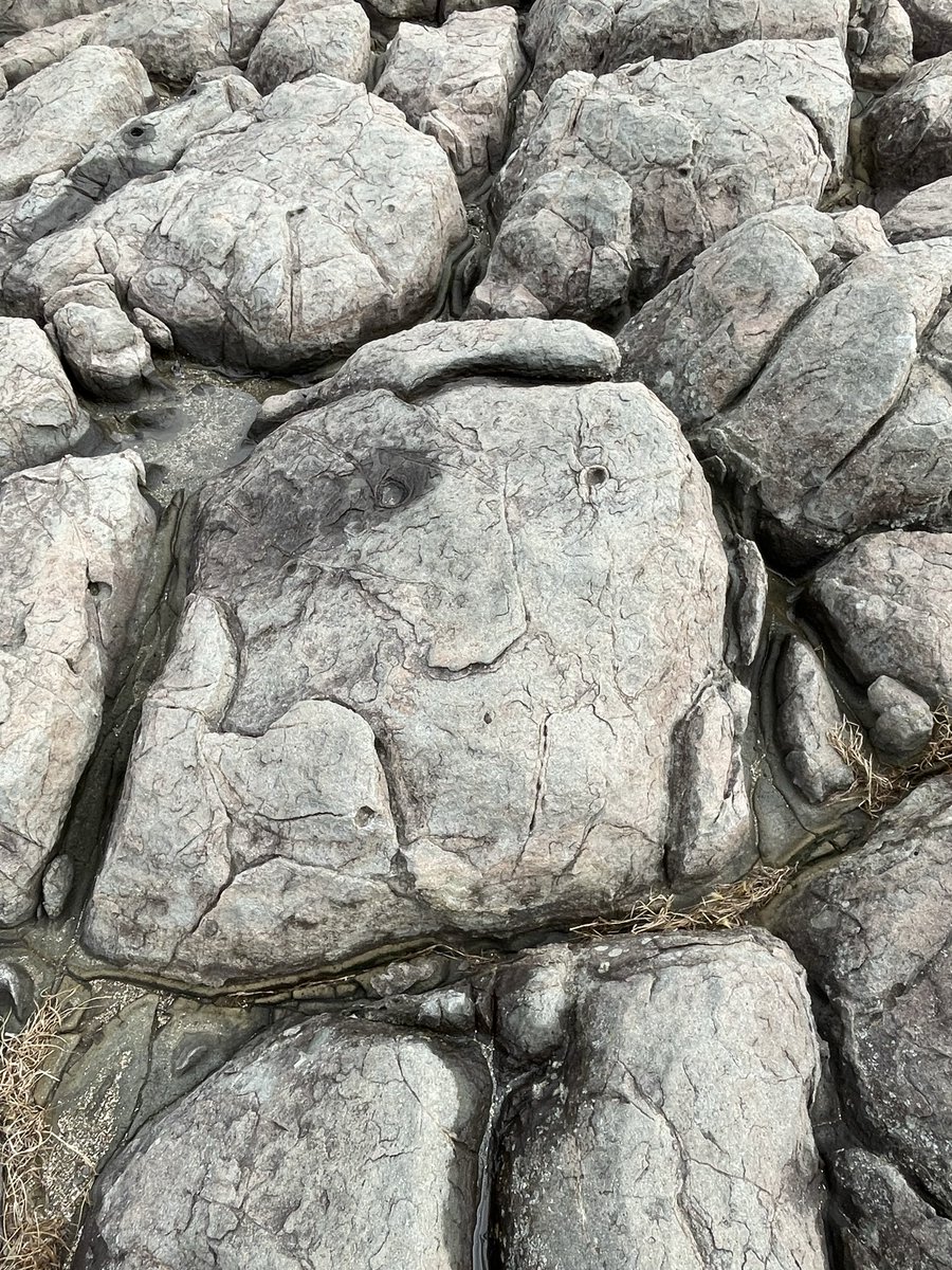 東尋坊でグー👍な岩🪨