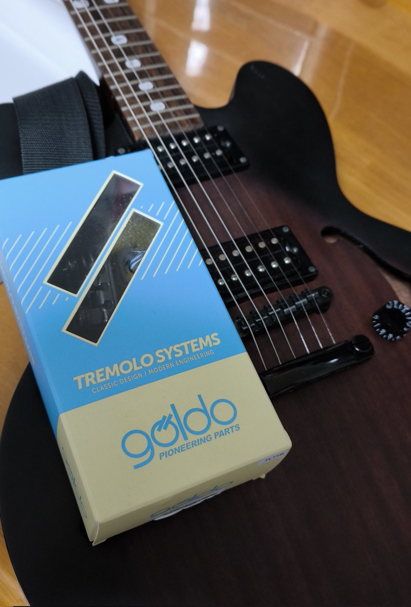 7chome_K_akari's tweet photo. かっけぇ……
#Goldo #TLT1B #LesTrem
#ゴルドー #レストレム
#Epiphone #Dot #Studio
#トレモロ #ヴィブラート
#サウンドハウス https://t.co/Ln0qJeKaec