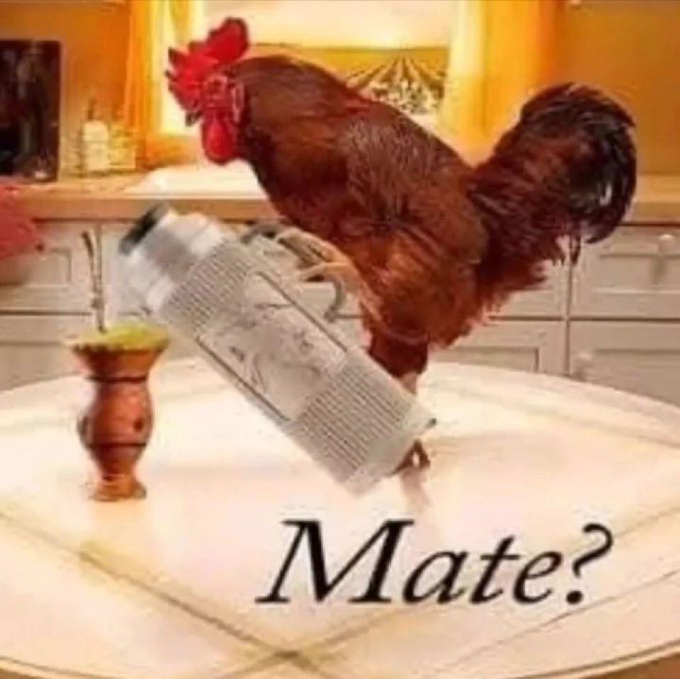 psyner3's tweet image. me desinstale instagram para no hacerme más la cabeza y dedicarme a tiempo completo a leer el último libro de los juegos del hambre en vez de tomarme personal los vínculos ajenos