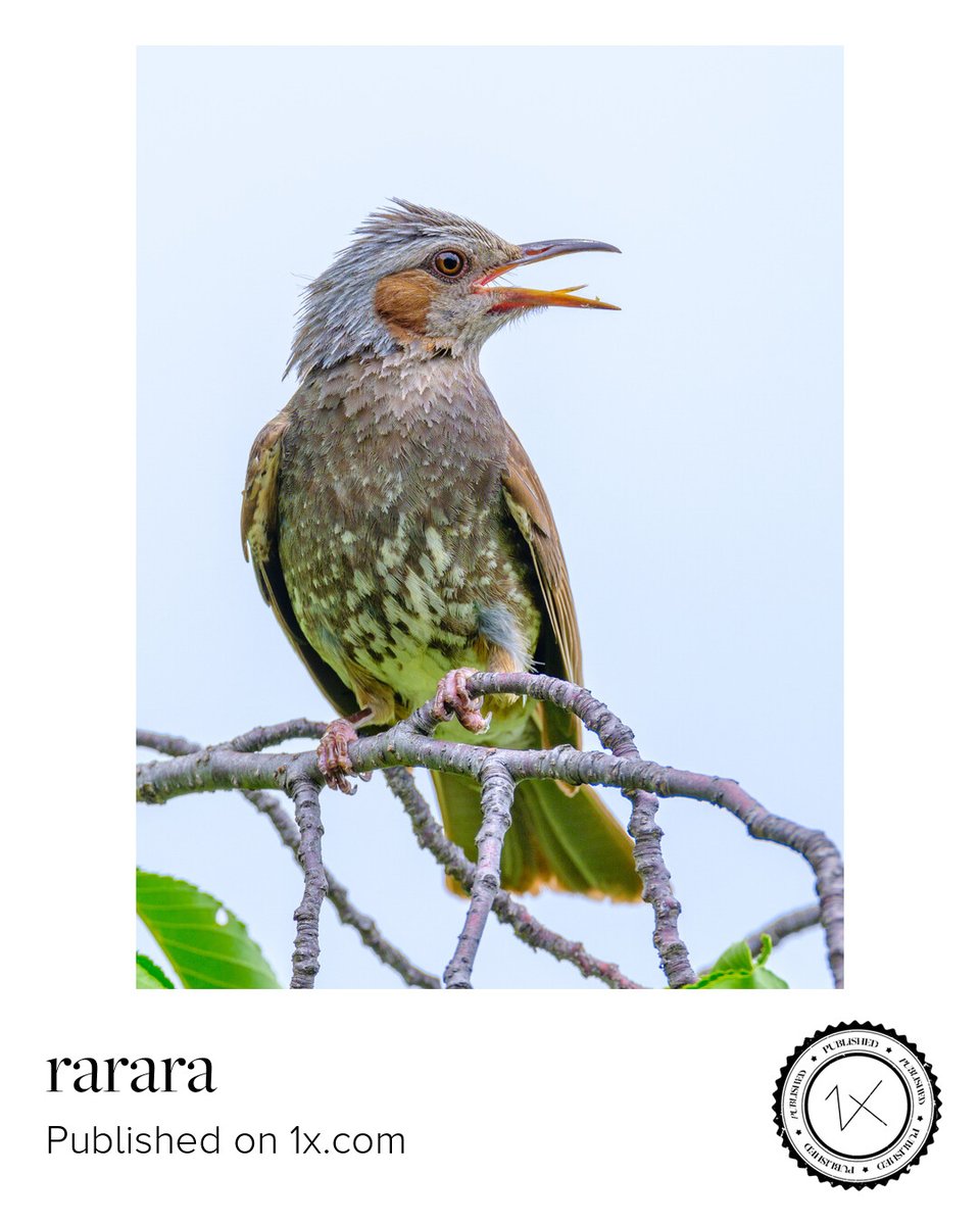 ららら♪📸🕊𓂃𓂂𓏸♡ (@rarara1818184) / Posts / X