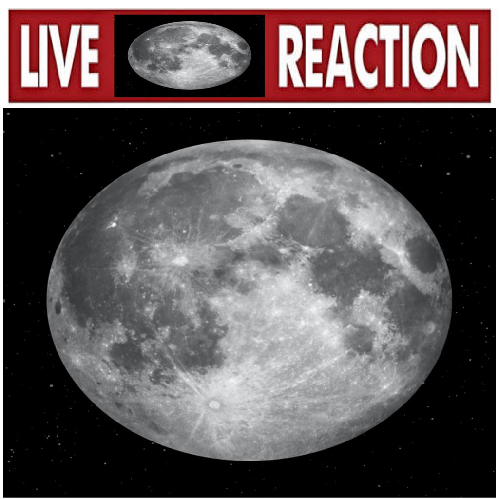 The Moon (@grayballofdirt) on Twitter photo 