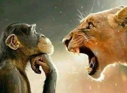 fyodorai's tweet image. this is sending me SO BAD i'm sorry-