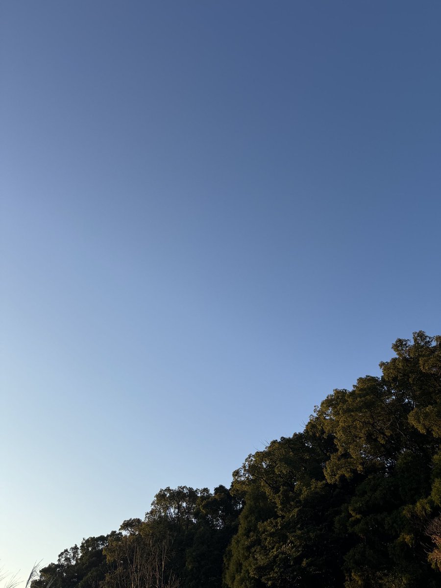 おはる〜💫

今日の朝も寒い朝❄︎

昼間は、もう少し暖かくなるみたいだね！
体調に気をつけてね😊

今日もるぅはお仕事に行ってまいります！
あと2日がんばるぞー！！

良き1日を🩵

#いまそら