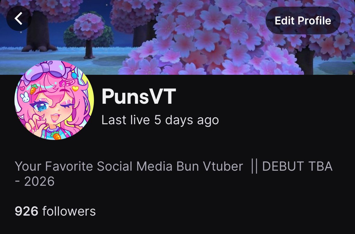 sockspuns's tweet image. If I hit 1K before the end of the year I’ll leak part of my model 👉👈