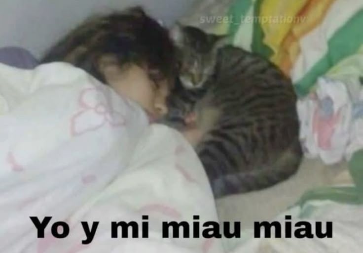 bekxiiuuu's tweet image. 