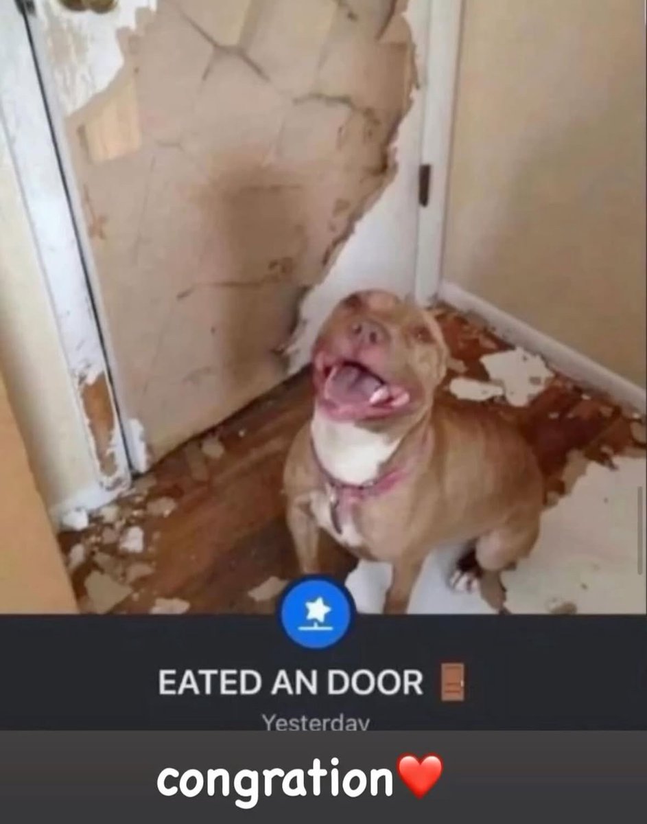 RespectfulMemes's tweet image. 