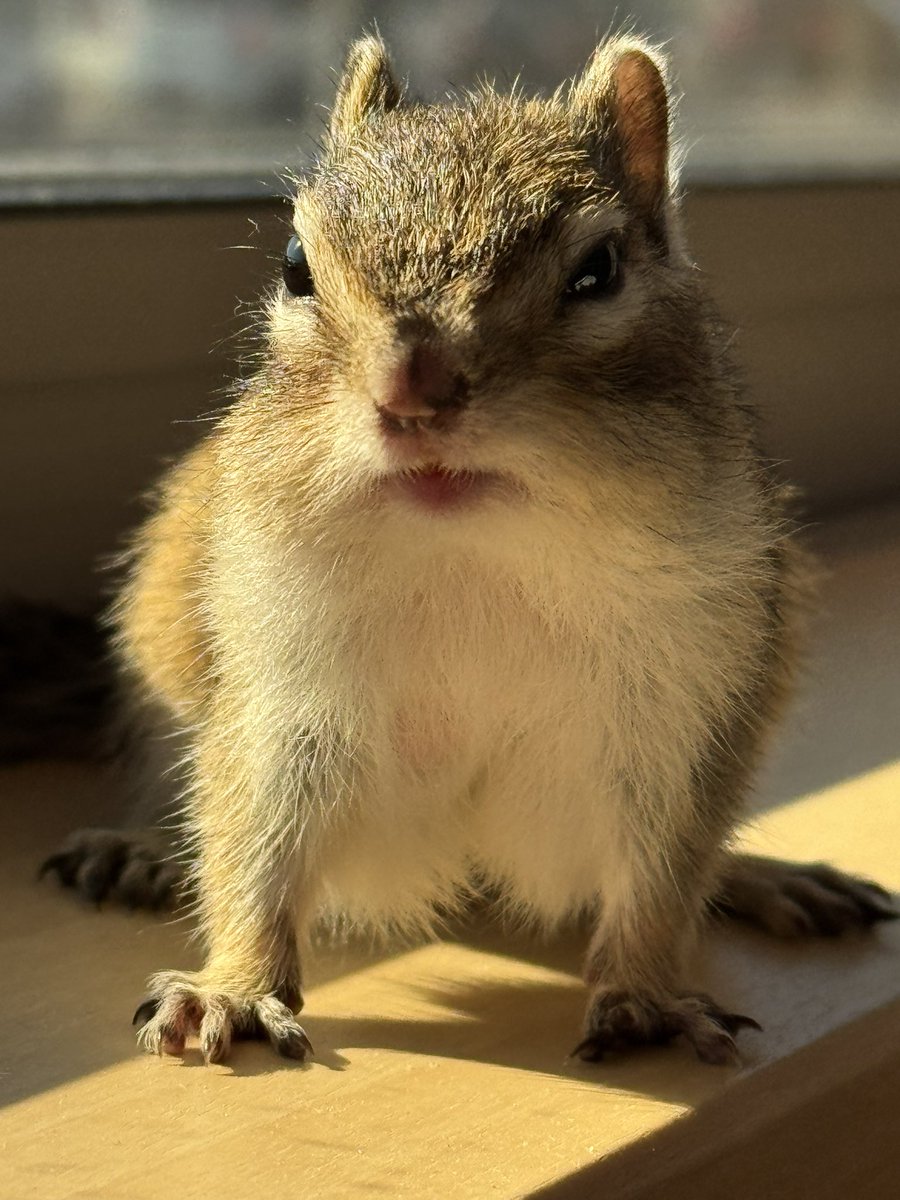 まーちゃん tweet media