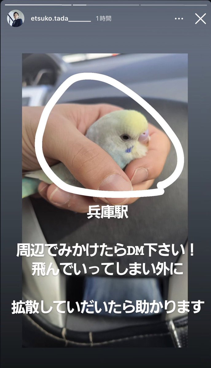 拡散お願いします