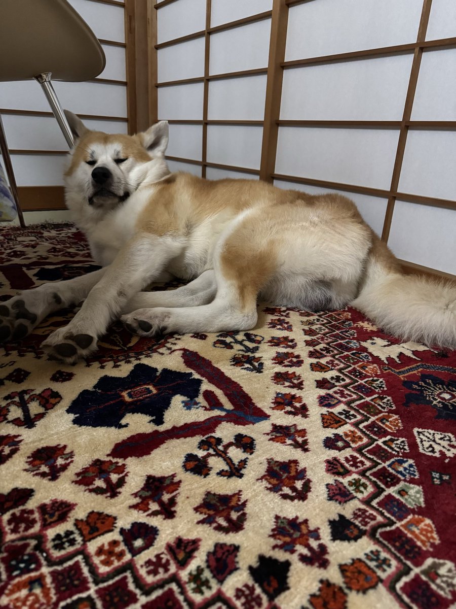 ْ (@65907_30_4) / Posts / X