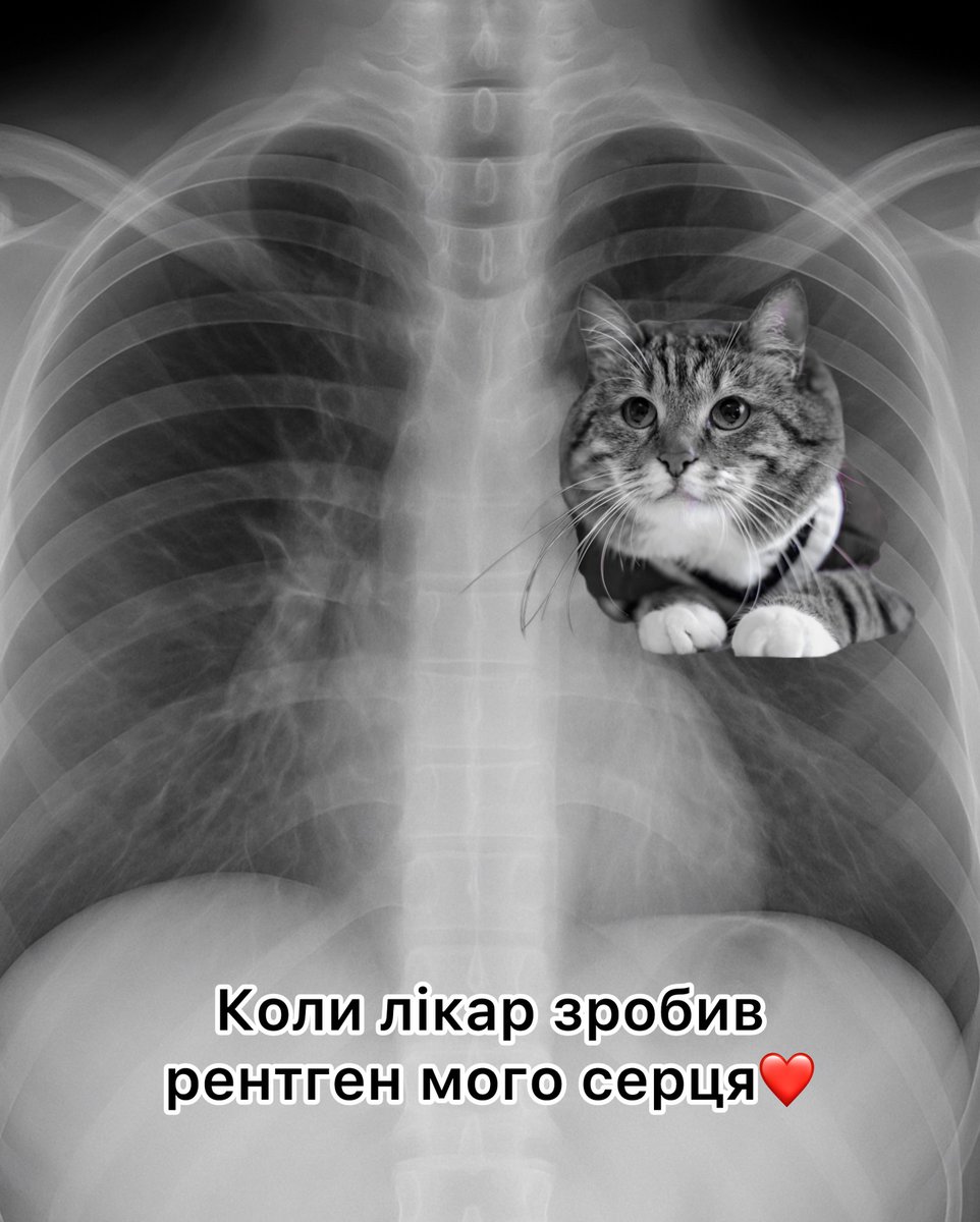 prikolSema's tweet image. 