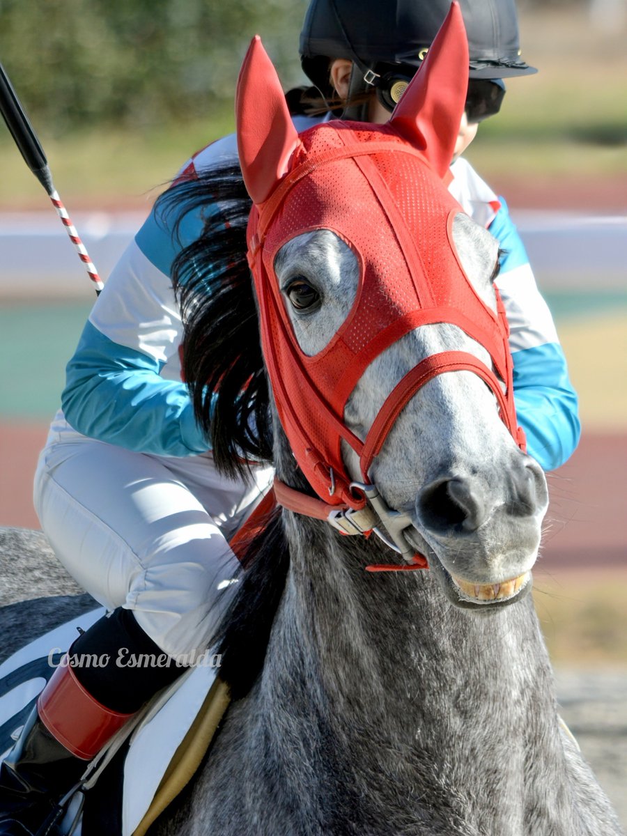 金船 (@0306mailbox) / Posts / X