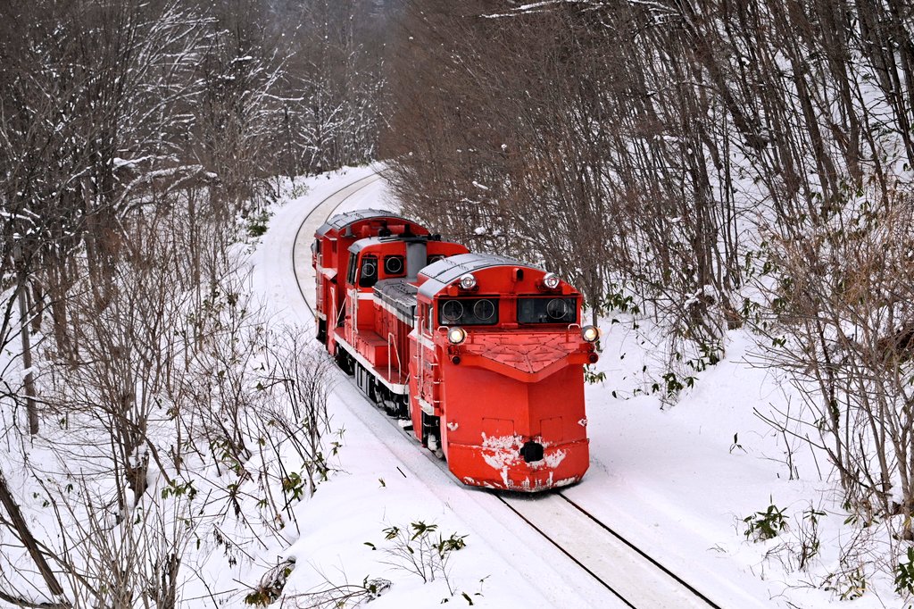 ♥ひろりん♥ ひろりん△12/26～12/30 北海道 (@hiroring0323) / Posts / X