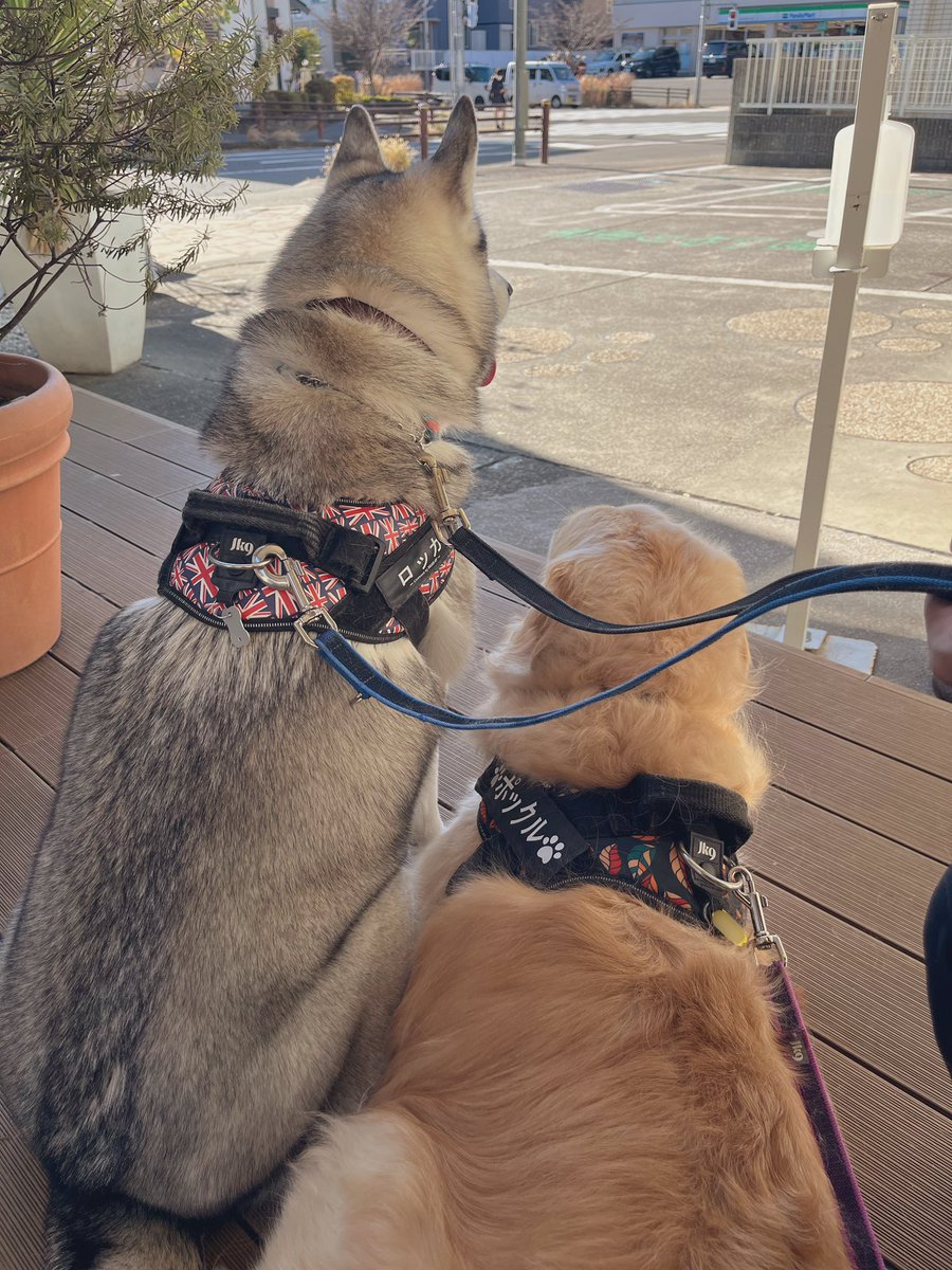 SNS不精ですみません💦（元気です！）
それでも見てくださってありがとうございます🥲
あたたかくして良いお年をお迎えください🍀