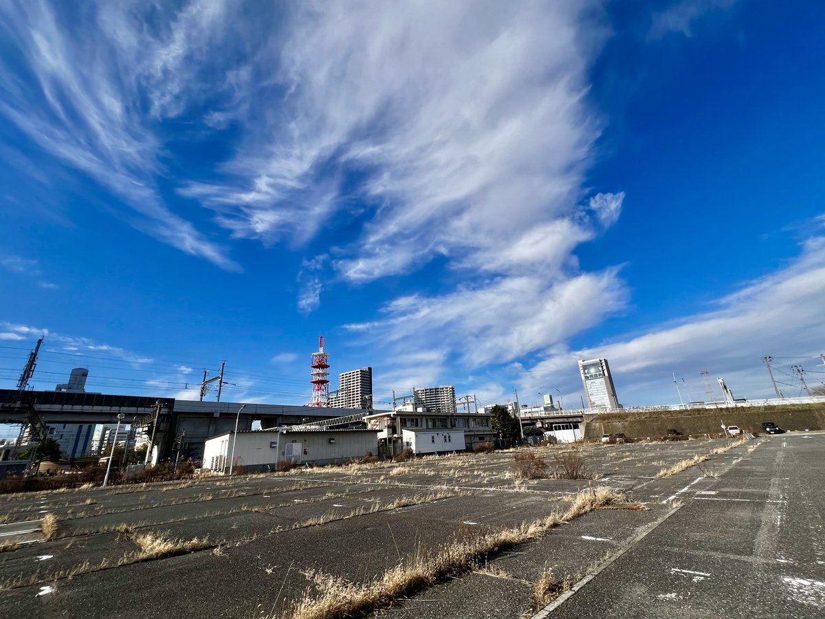 熊の散歩 クマ襲撃で4〜10月196人死亡負傷秋田が最多 - ChosunBiz