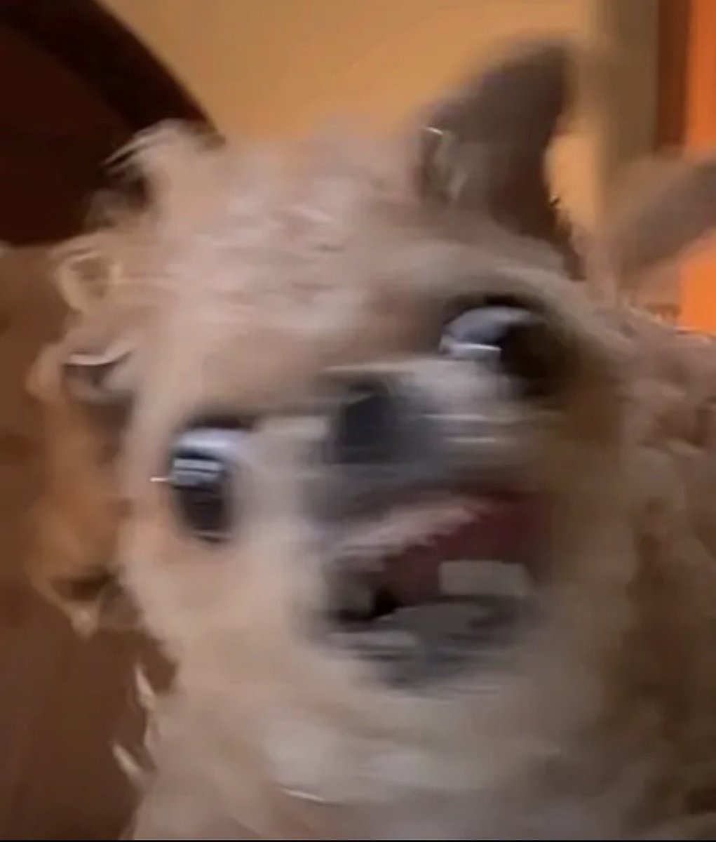 Mood and I’m going to make it everyones problem