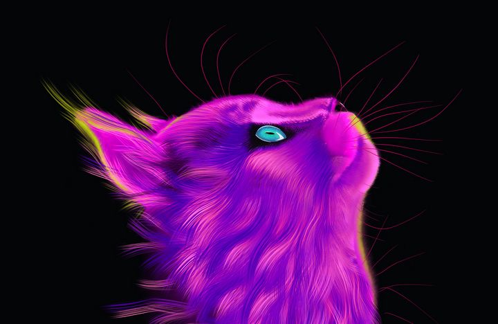 Art of the Day! "Look up - Cat Print". Buy at: ArtPal.com/dawgdigital?i=…