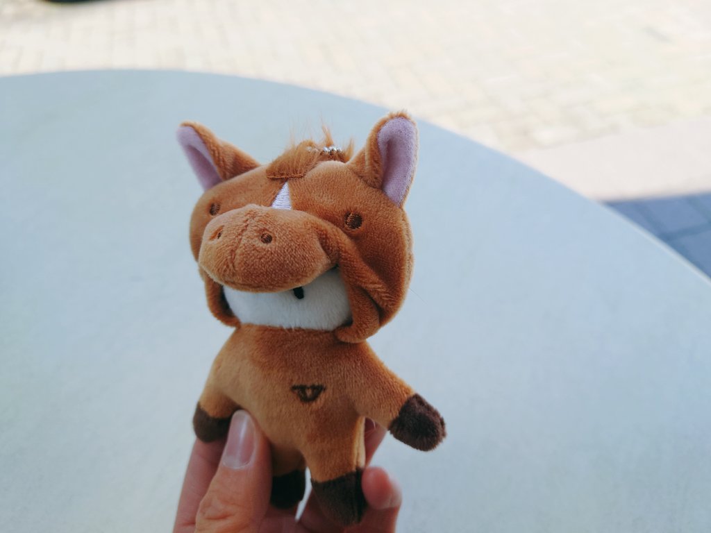 午年なのでシリアス買いました。顔見えんしたてがみ可愛すぎる