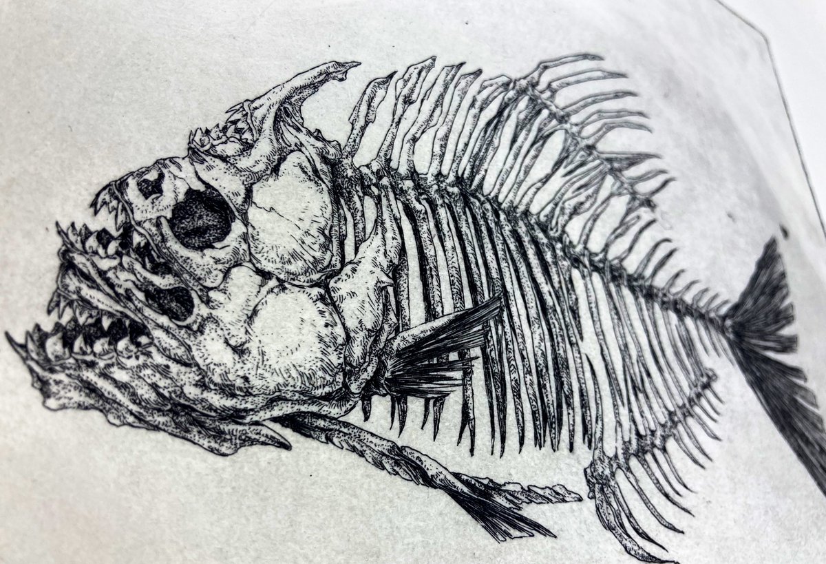 三日月様*.゜ 4829: 3月13日の月（月齢8.6） by hideサン - 天体写真ギャラリー