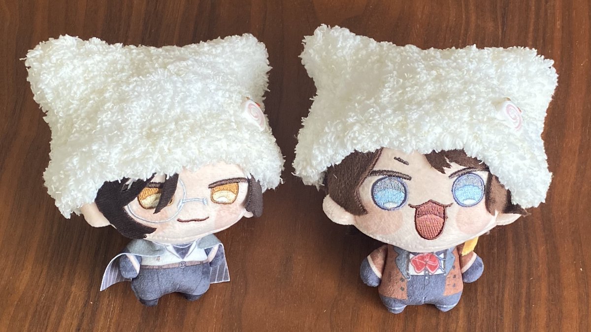 探偵と助手は迷い猫🐈を探すため
猫耳ニット帽をかぶることにした
作戦の結果はいかに

#助手ぬいが見られるタグ 
#探偵ぬいが見られるタグ