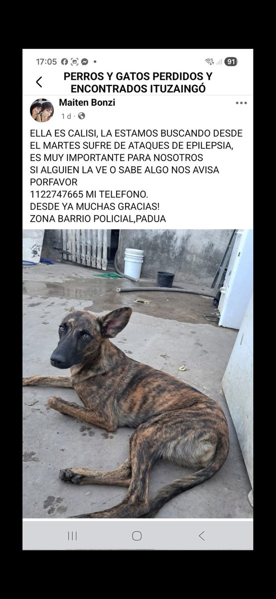 Maria Ines (@mariain77662119) on Twitter photo 