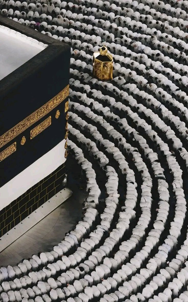 جو هے سارے جہانوں میں جلوہ نما
اس اَحَد کے سوا __دوسرا کون هے!
#السلام_عليكم