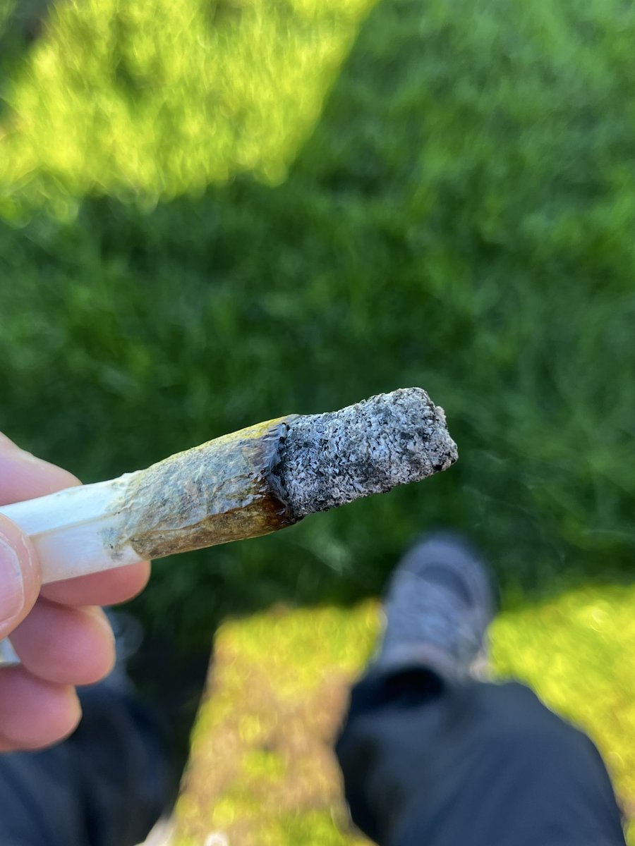 Roburplug's tweet image. 9th anniversary ❤️@ess_babii