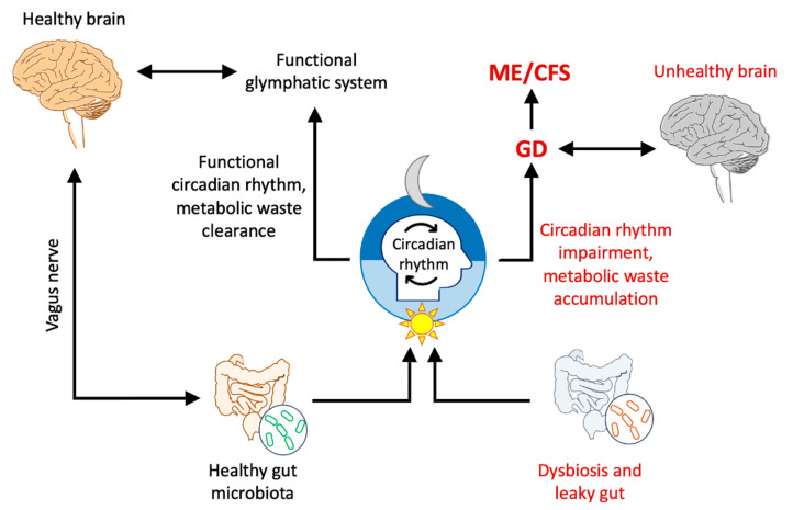 Ryan Christensen DO tweet media