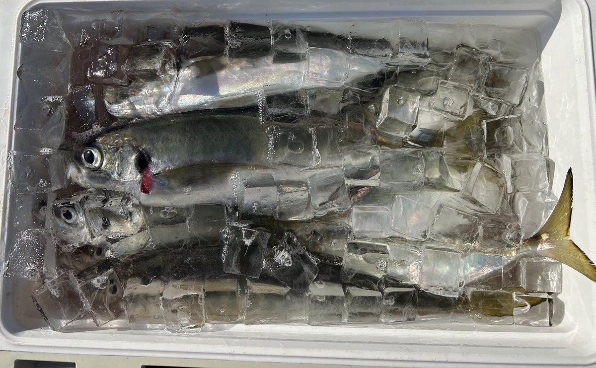 4 butane【110634.com】.kai