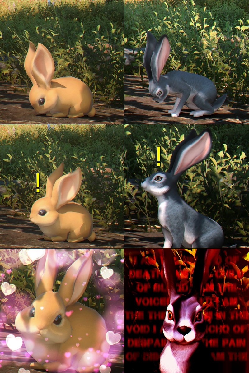 there's two types of viera in the world