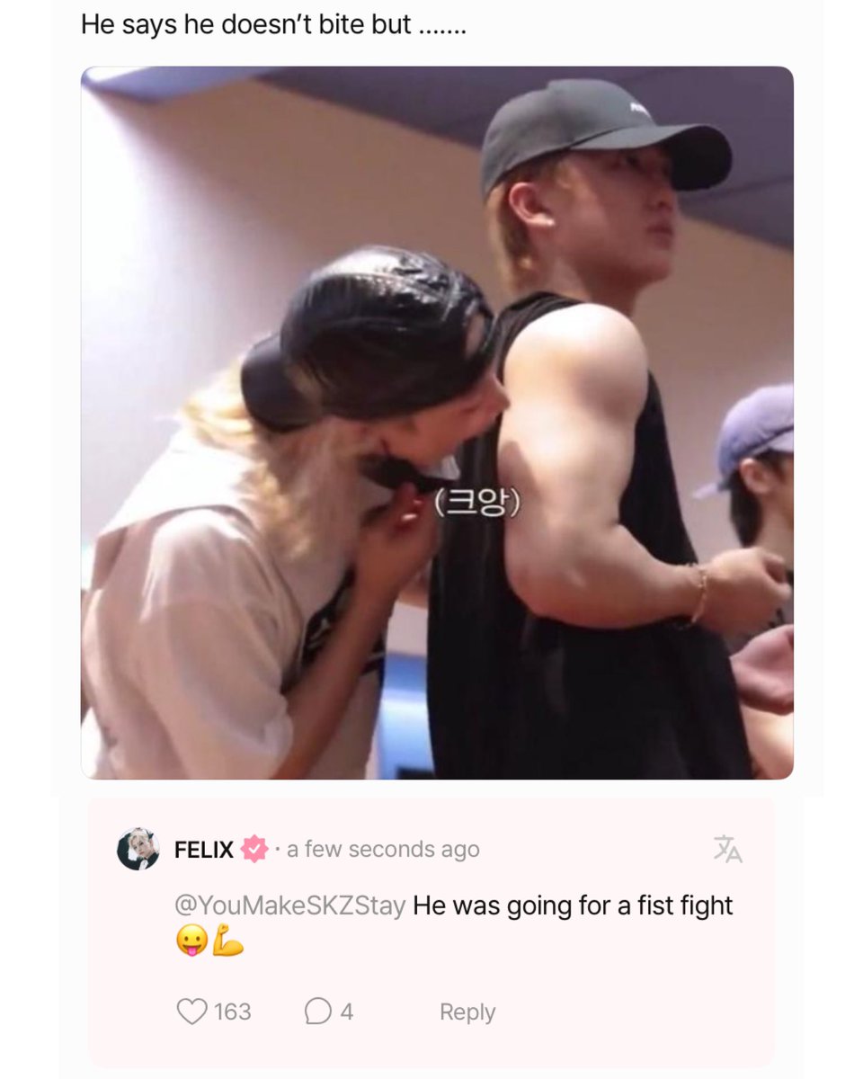 💬: what should i do for felix to greet me? 😭😭
🐥: i don't bite. just say hi 🧐
💬: he says he doesn't bite but.......
🐥: he was going for a fist fight 😛💪
