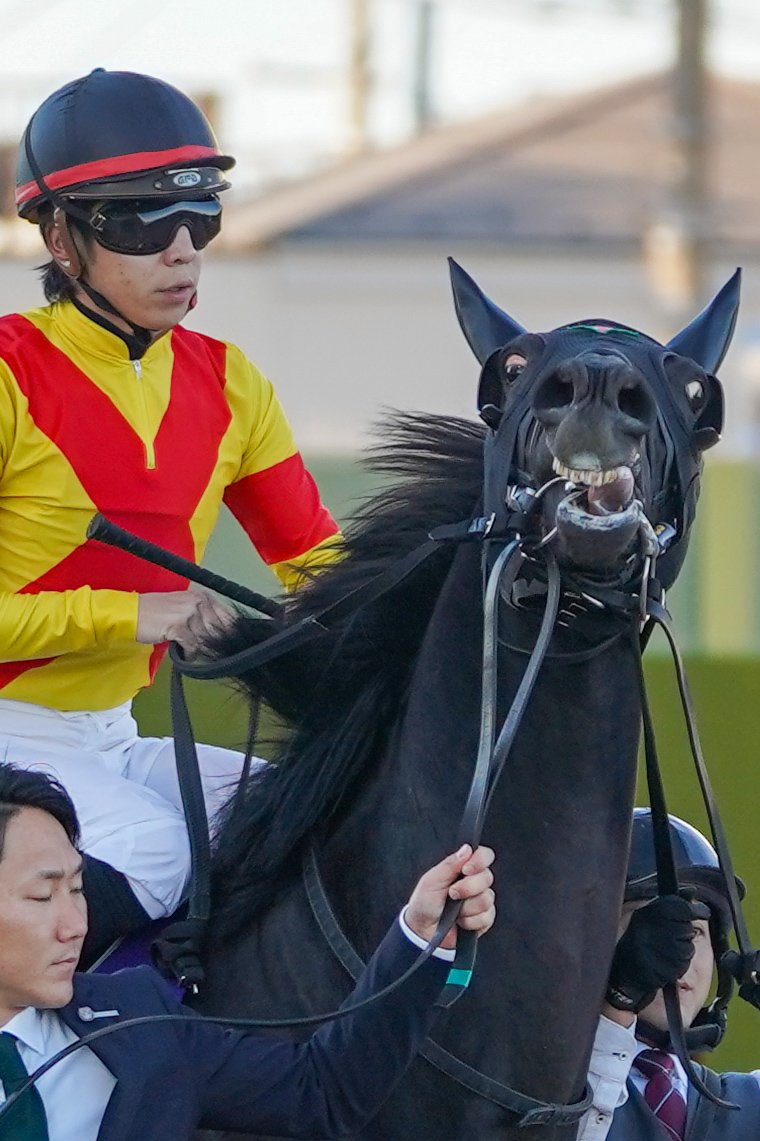 A.mayuko🐰ykhmの奴らはﾌﾟﾁｮﾍﾝｻﾞ🙌💙 (@9uuuchan) / Posts / X