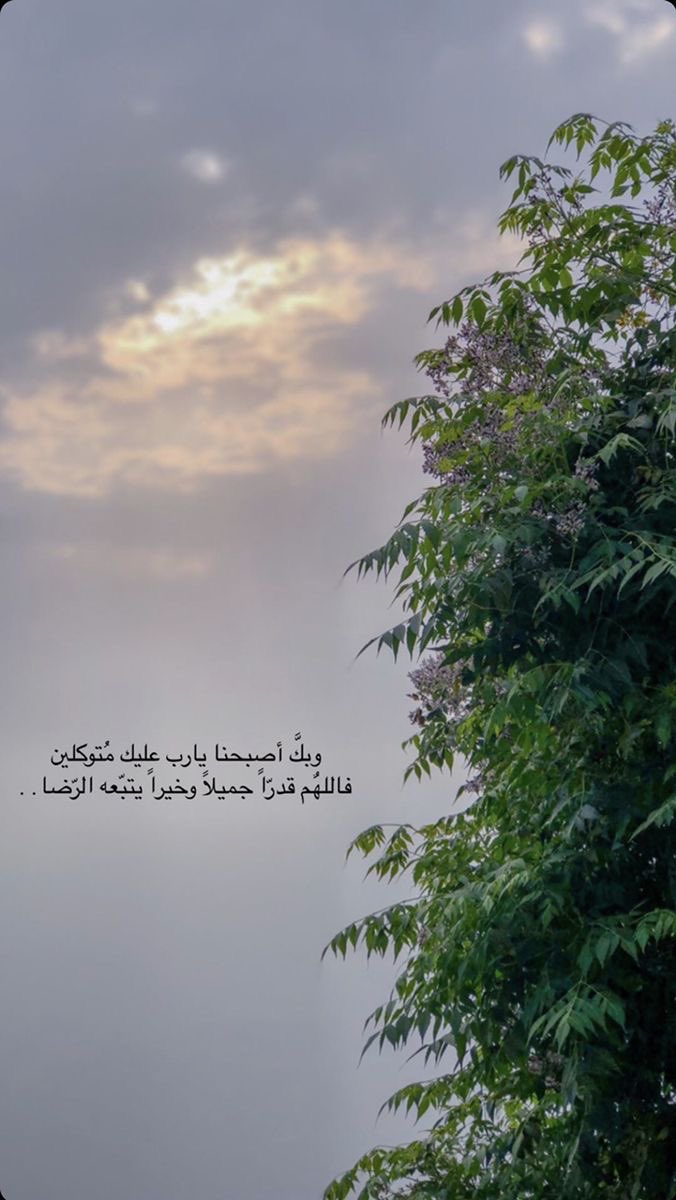 منال العتيبي tweet media