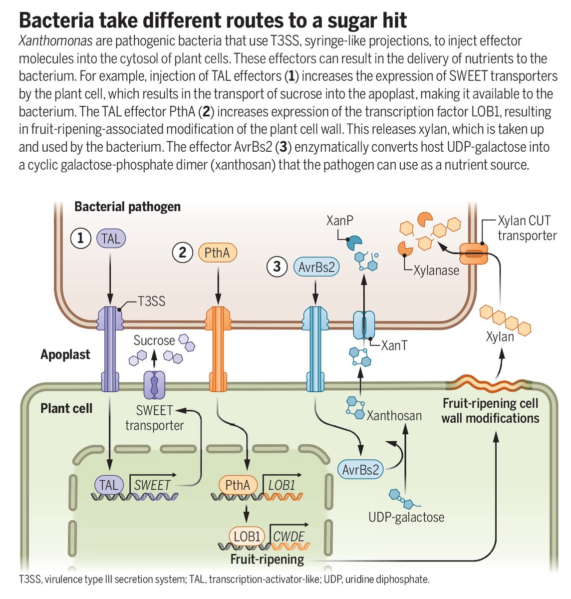 Science Magazine tweet media