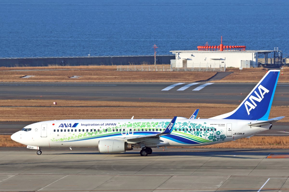 今朝のセントレアから沖縄のANAのボーイング737は「ANAふるさとJET」で