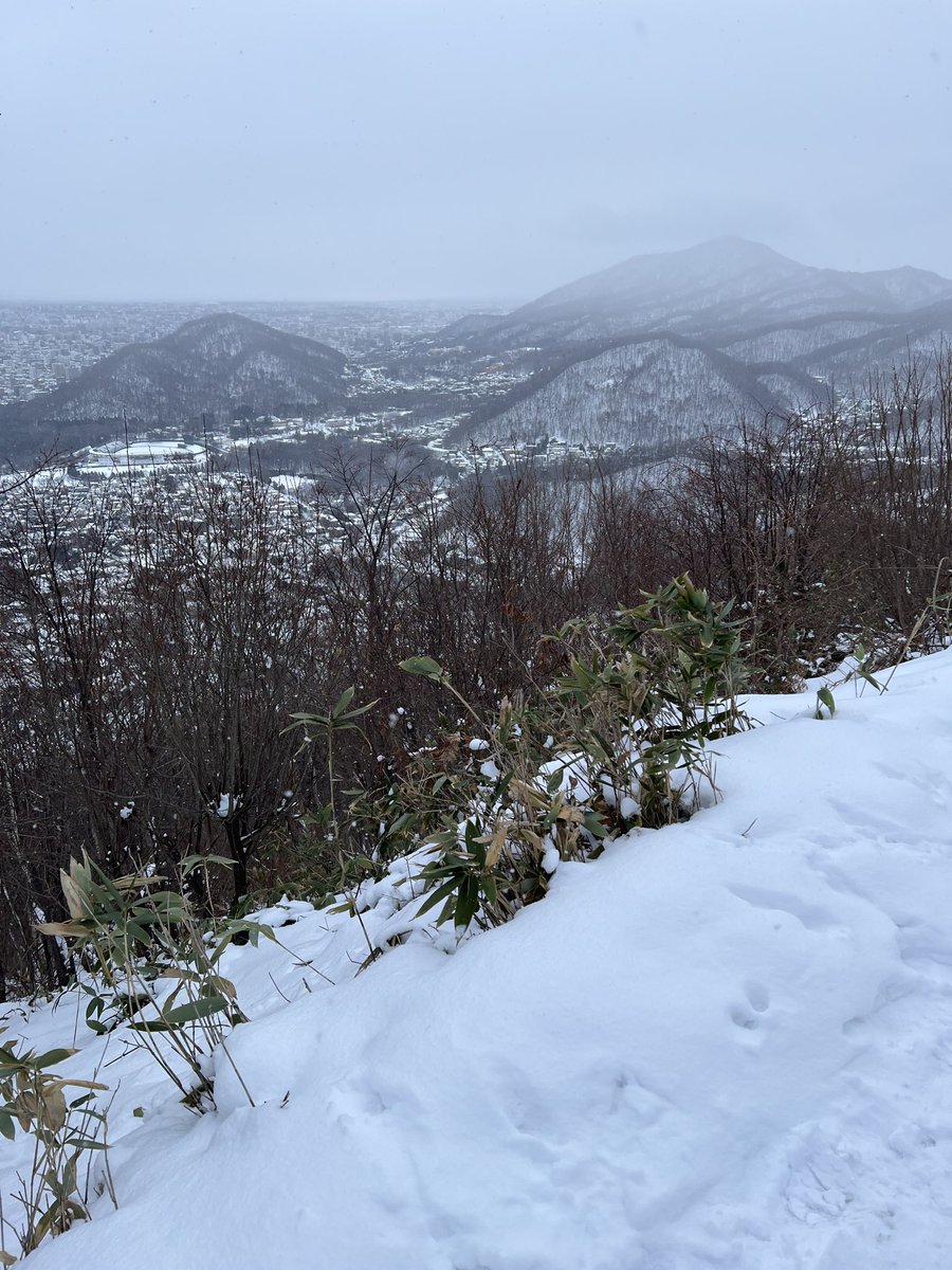 山に登った。久しぶりに。こわいよくんが着いてきて怖かったです。