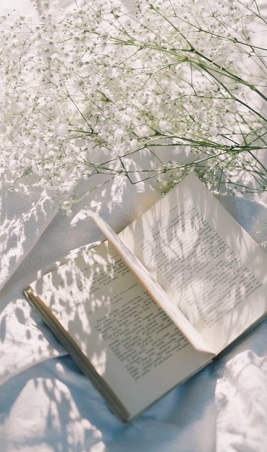 1978nova's tweet image. 今日も終わり 🎂