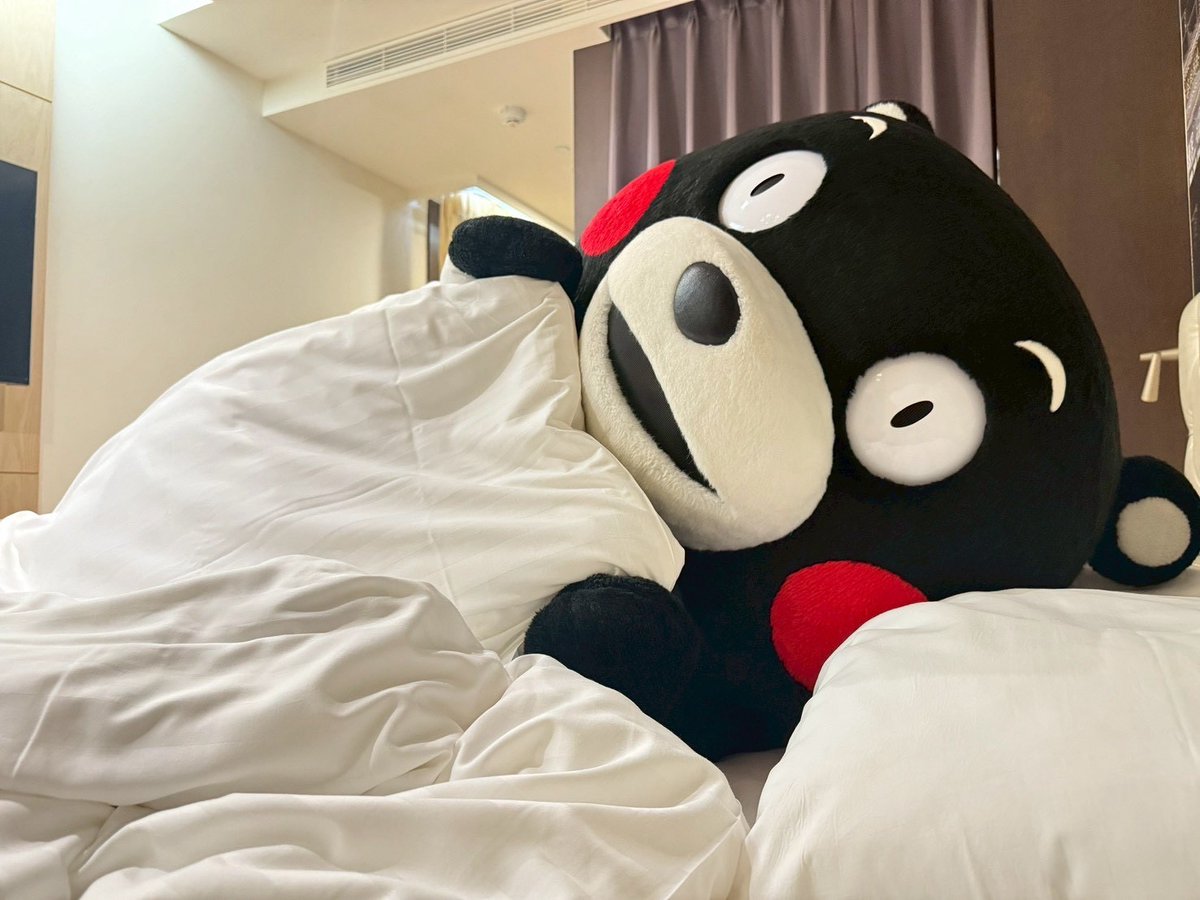 みぃちゃん♡さま確認ページ♡ みぃちゃん♡さま確認ページ♡ ちゃんみい🐱 (@chan31_san) / X みぃ