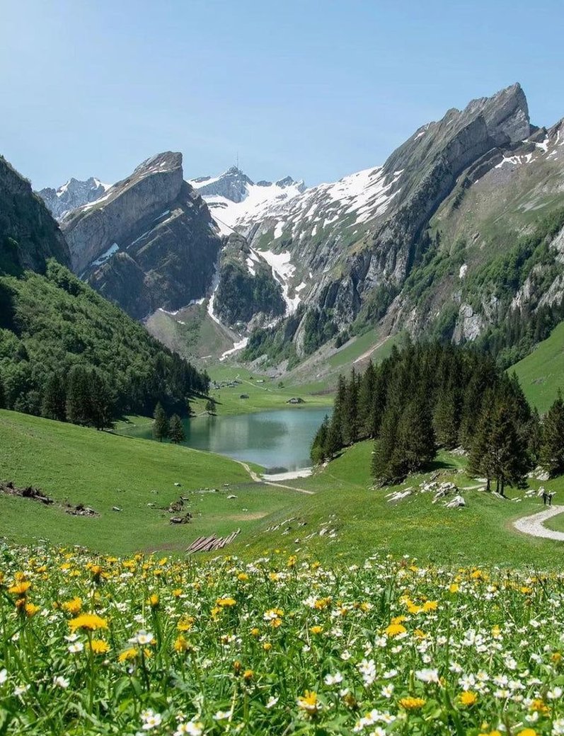 Armando28362134's tweet image. 3165円のゲーム買った
迷ったけどまあいいか 🥴