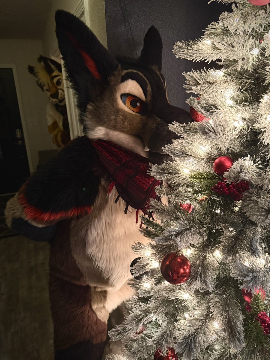 Sozan | Knoxis tweet media