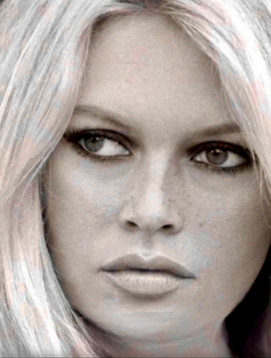 Robyn Foyster tweet media