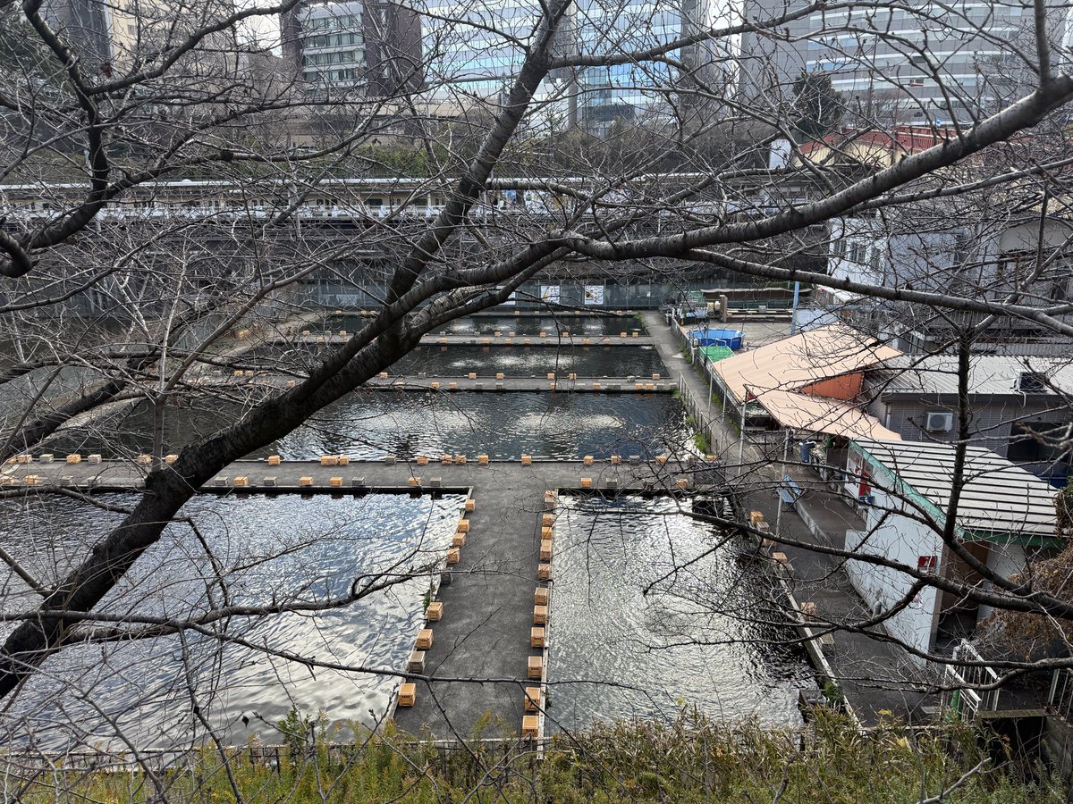 74🏍️✈️🏎️🗻 (@daijiro74) / Posts / X